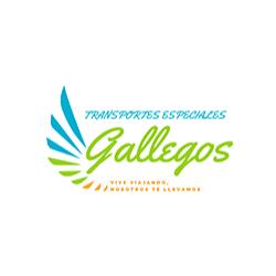 Transpgallegos