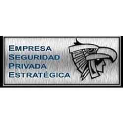 Empresa De Seguridad Privada Estratégica