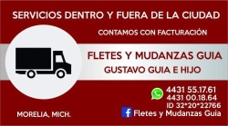 Fletes y mudanzas sitio carrillo