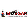 Morgan Fumigaciones Y Control De Plagas