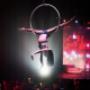 TRS Yucatan Hotel Shows