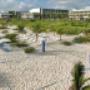 hotel playa mujeres