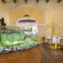 hotel deals riviera maya