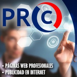 Profesional Consulting México