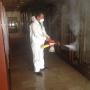 Fumigación Mapoteca Ncional 2