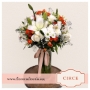 Circe