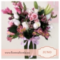 Jarron de 24 rosas blancas - Juno