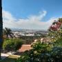 View From Lobby