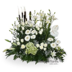 flores y más flores