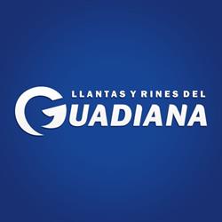 Llantas y Rines del Guadiana Suc. Blvd Durango