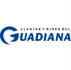 Michelin Car Service Llantas y Rines del Guadiana Suc. Avila Camacho
