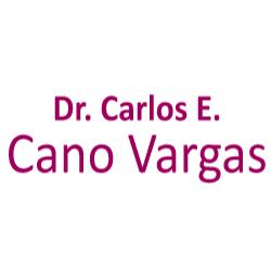Dr. Carlos E.  Cano Vargas