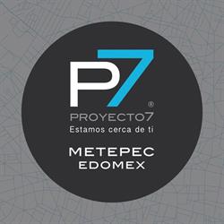 Proyecto 7
