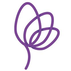 Psicoterapia Integral Metepec