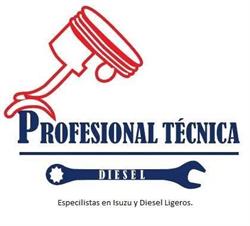 Servicios Técnicos Profesionales