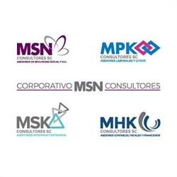 MSN CONSULTORES SC