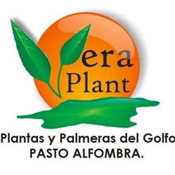 VeraPlant