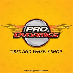 Prodynamics Llantas y Rines (Allende)