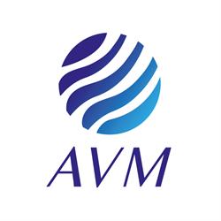 American Value de México, S.A de C.V.