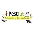 Pest Out Control
