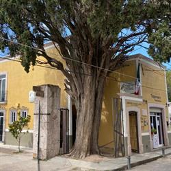 Tecno Lab Jerez