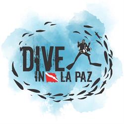 Dive in la Paz, Dive Center