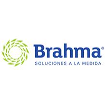 Grupo Brahma