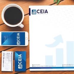 ceia consultoria