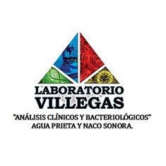 Laboratorio Villegas Análisis Clínicos