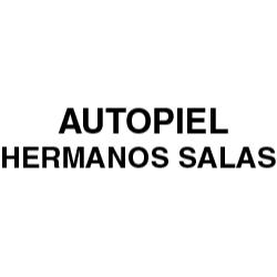 Autopiel Hermanos Salas