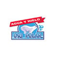 Fábrica De Hielo Y Agua Oso Polar