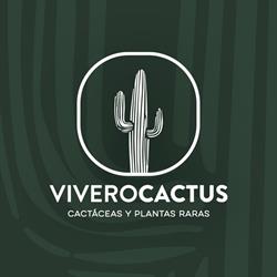 Vivero Cactus