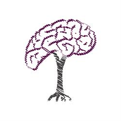 Instituto de Neurociencias y Educación de Sinaloa