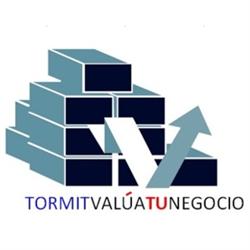 Tormit Valuación de Negocios y Peritajes