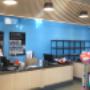 pintura pared petco