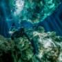 Buceo en Cenote en Playa del Carmen