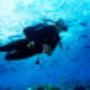 Buceo en Playa del Carmen