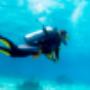 Buceo precios en Playa del Carmen