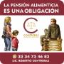 Pension Alimenticia
