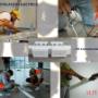 Suministro e Instalación de Cableado Estructurado en JALET Servicios de Transporte