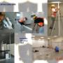 Suministro e Instalación de Cableado Estructurado en JALET Servicios de Transporte