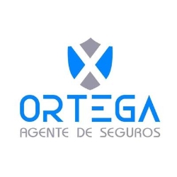 Seguro de auto