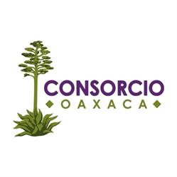 Consorcio Para el Diálogo Parlamentario y Equidad, Oaxaca