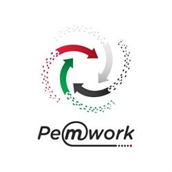 PEMWORK SAPI DE CV