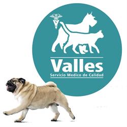 Centro Veterinario Valles