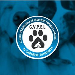 Clínica Veterinaria De Pequeñas Especies Laguna