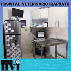 Hospital Veterinario Irapuato - HVI