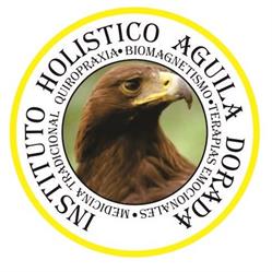 Centro Quiropractico y Quiroinka Oaxaca