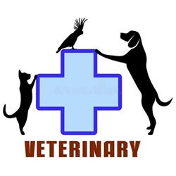Veterinaria Cure Pet's