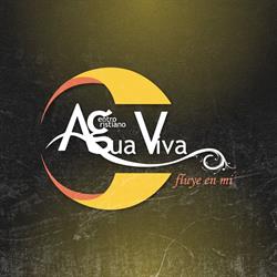 Agua Viva Pachuca
